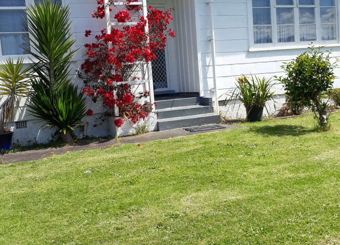 10 Parkinson Avenue, Wesley, Auckland - Carousel 1