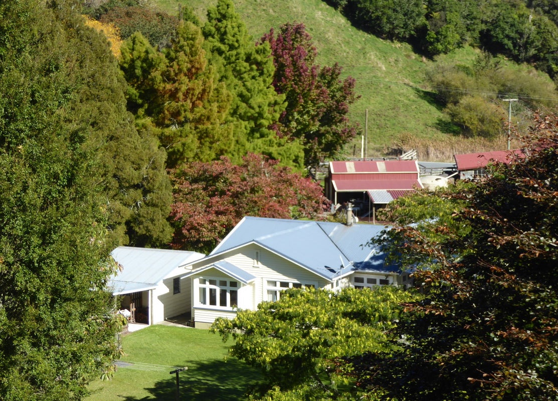 167 Soldiers Road, Lower Kaimai, Tauranga - Carousel 1