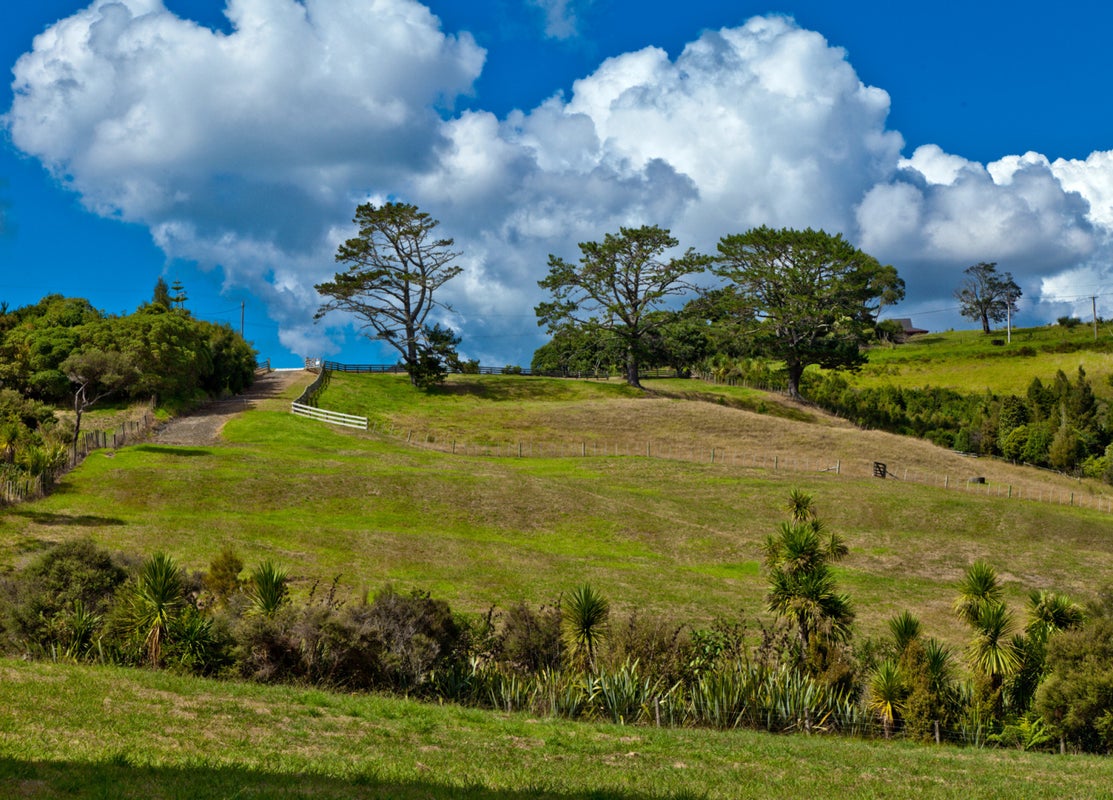 107 Vaughans Road, Okura, Auckland - Carousel 1