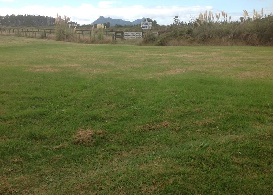 42 Ocean View Rise, Ruakaka - Carousel 1