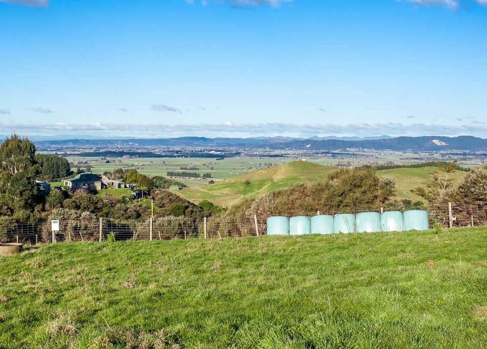 302G Withy RD, Whakatane , WHAKATANE - Carousel 1