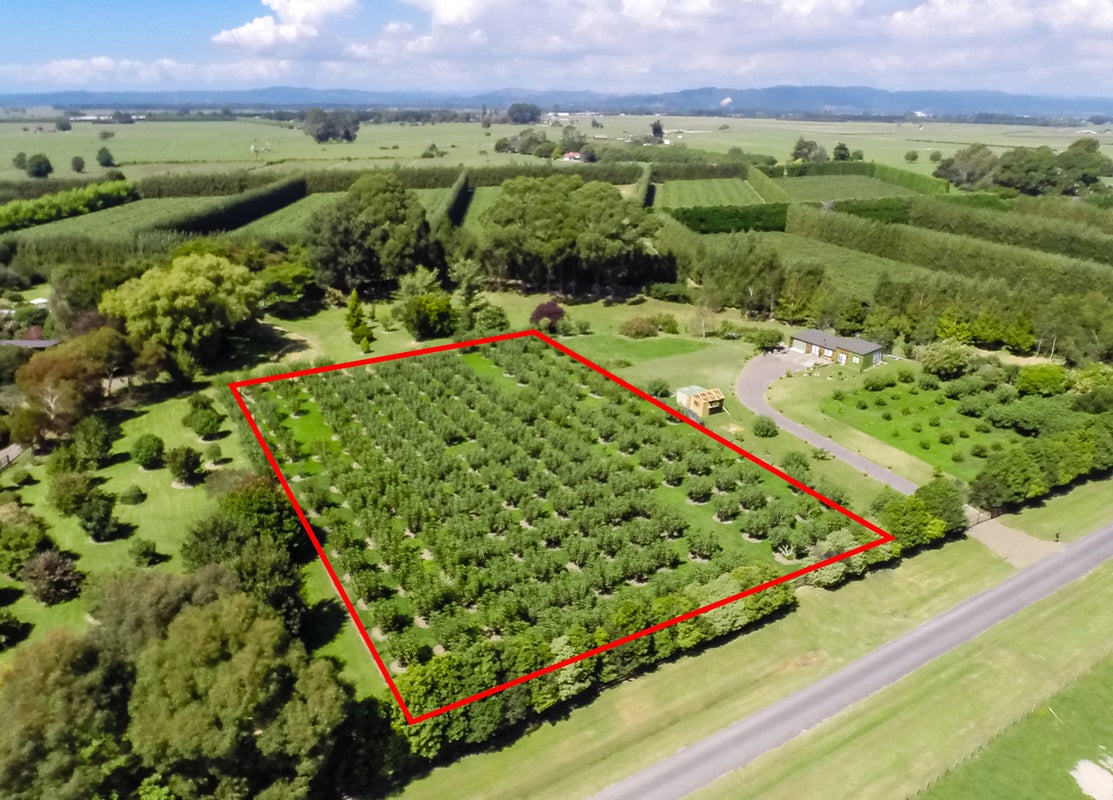 82 Colebrook Road, Edgecumbe, Whakatane - Carousel 1