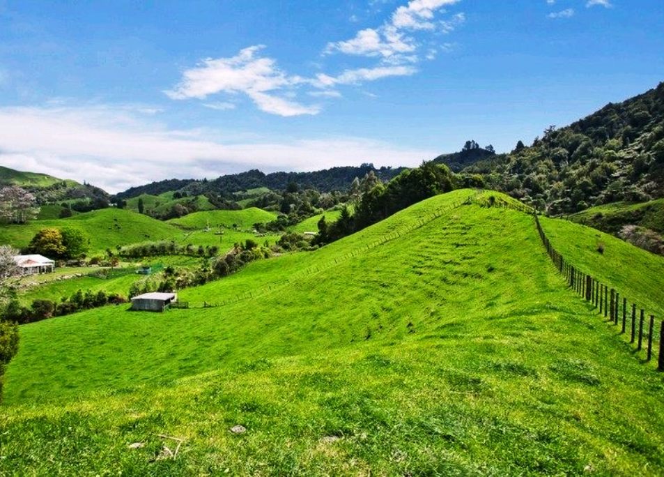 634 MANAWAHE RD, MANAWAHE, WHAKATANE - Carousel 1