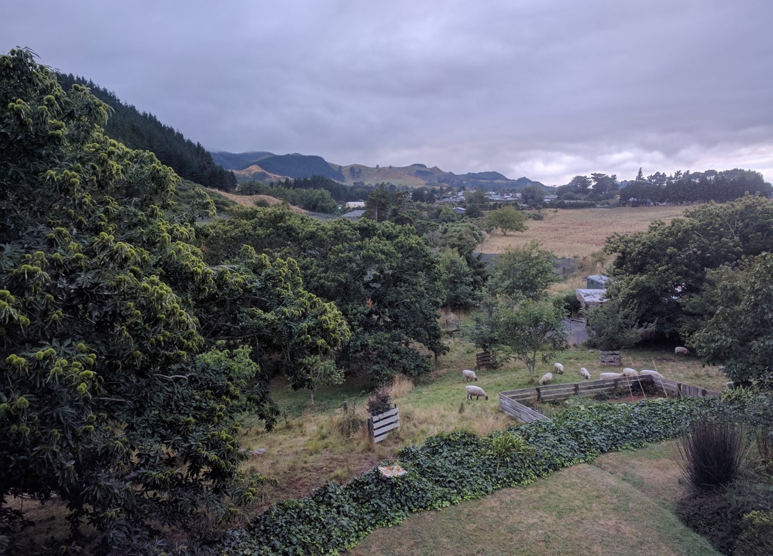9135 State Highway 2, Waihi, Waihi - Carousel 1