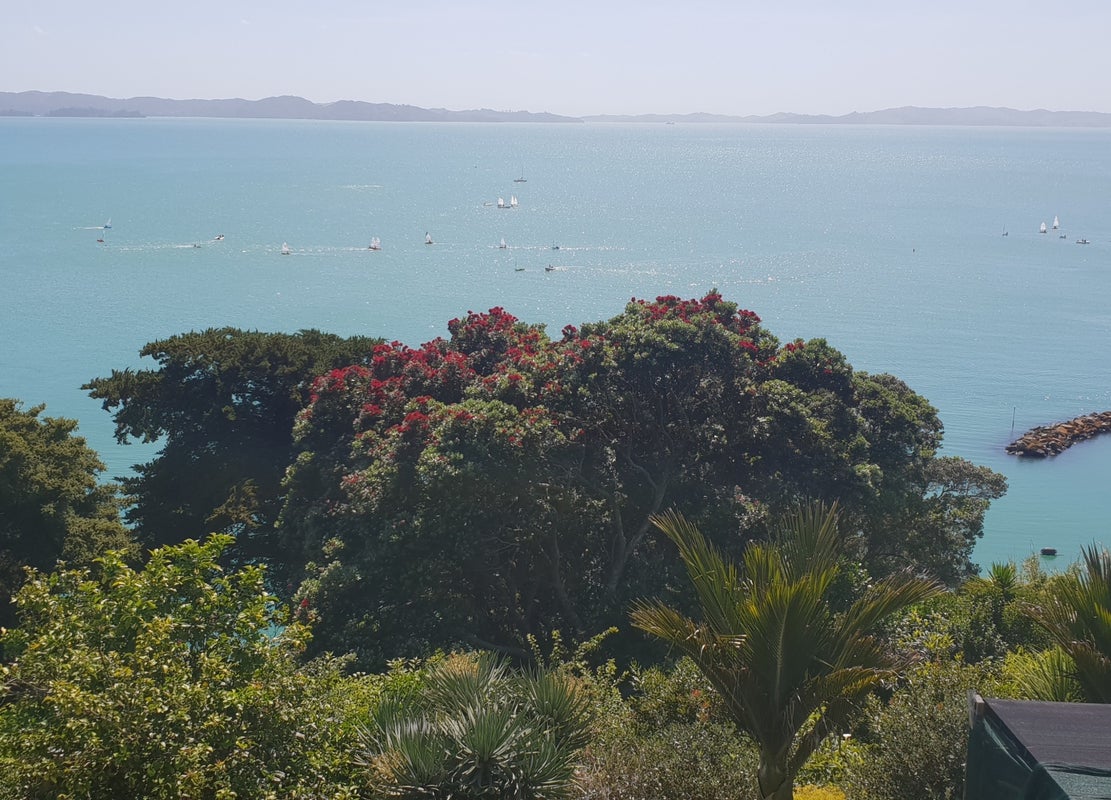 31 Te Pene Road, Maraetai, Auckland - Carousel 1