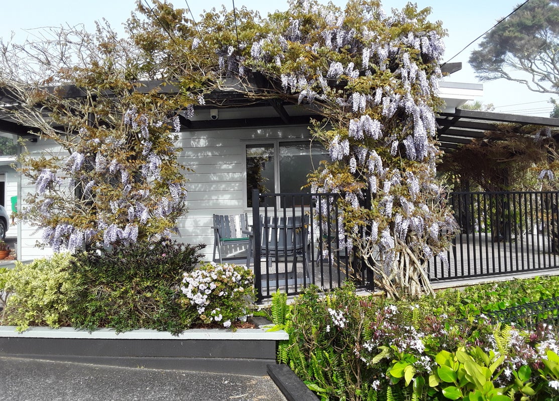 60 Rame Road, Greenhithe, Auckland - Carousel 1