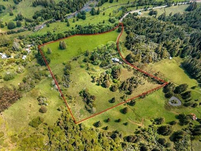 795A Wekaweka Road, Waimamaku, Kaikohe - Carousel 1