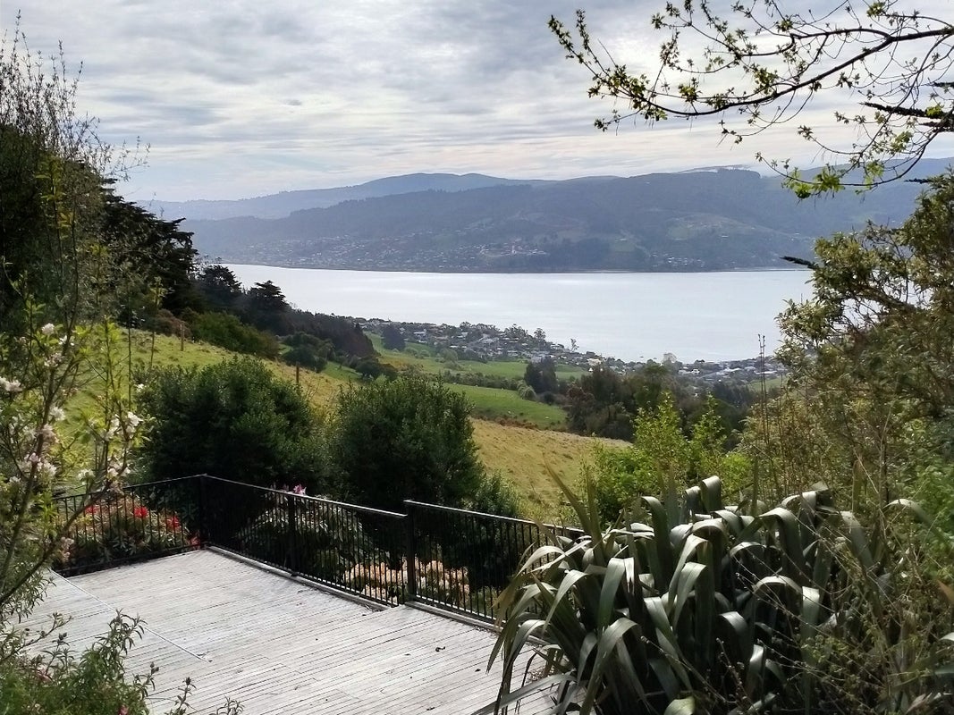 979 Highcliff Road, Highcliff, Dunedin - Carousel 1