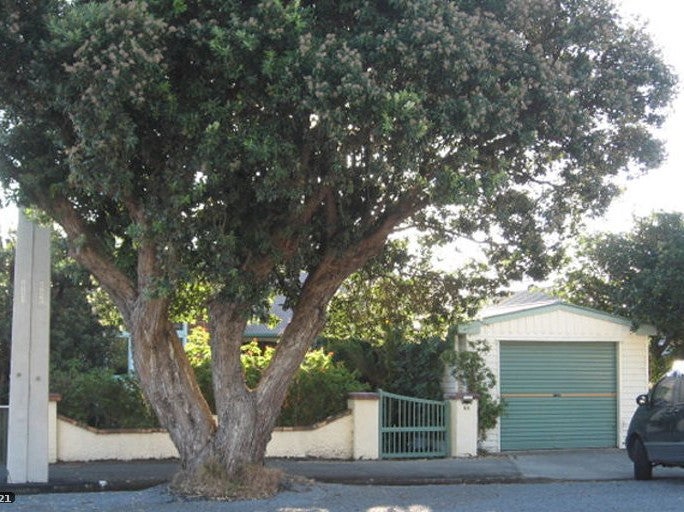 64 Oroua Street, Eastbourne, Lower Hutt - Carousel 1