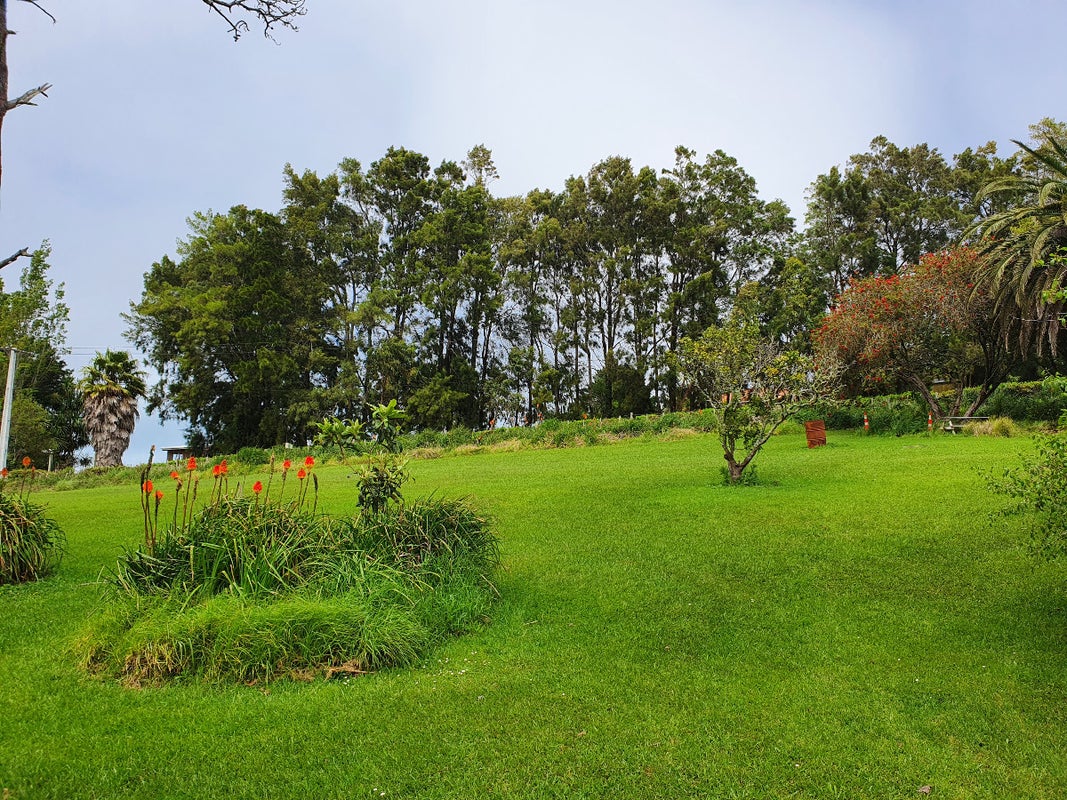 1127A Whangaparaoa road, Whangaparaoa, Auckland - Carousel 1