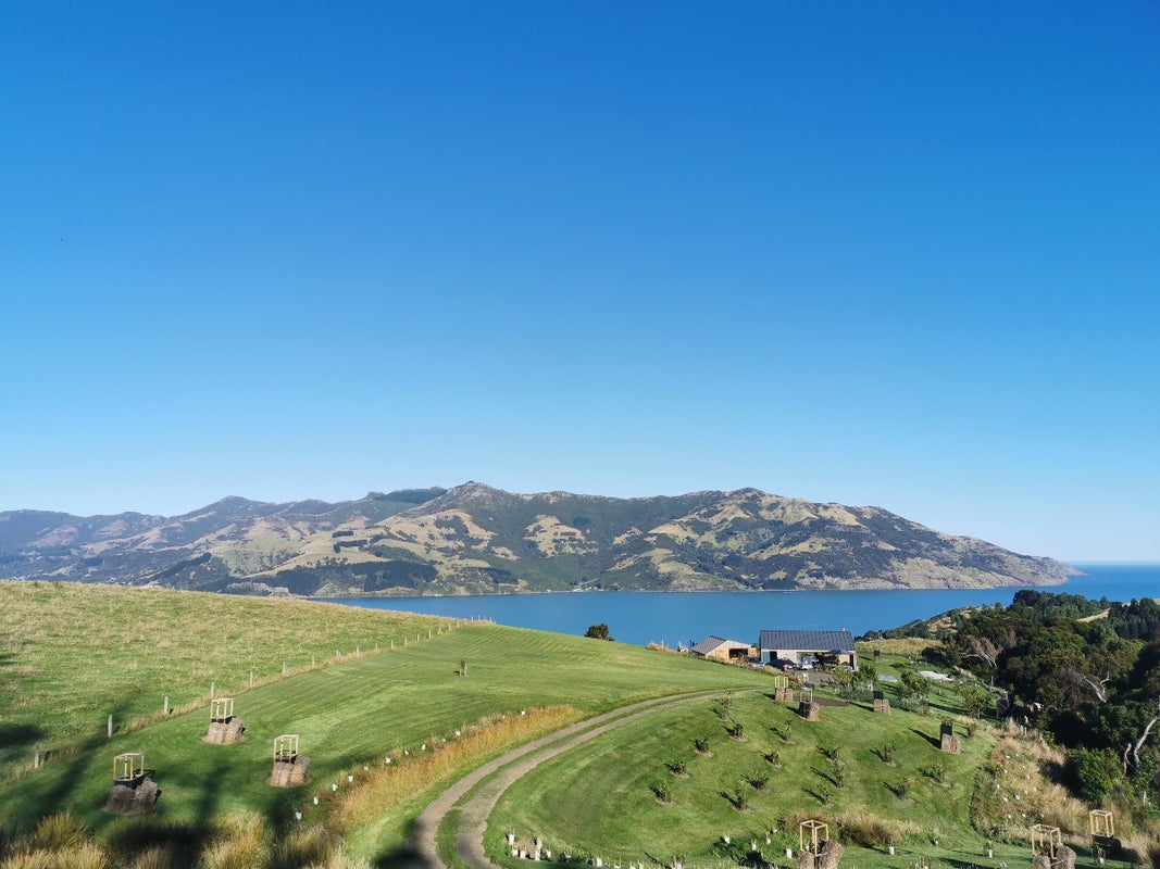 0 , Wainui - Carousel 1