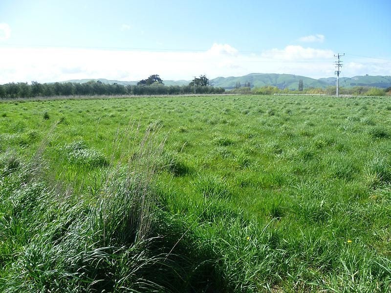262C Dakins Road, Masterton - Carousel 1