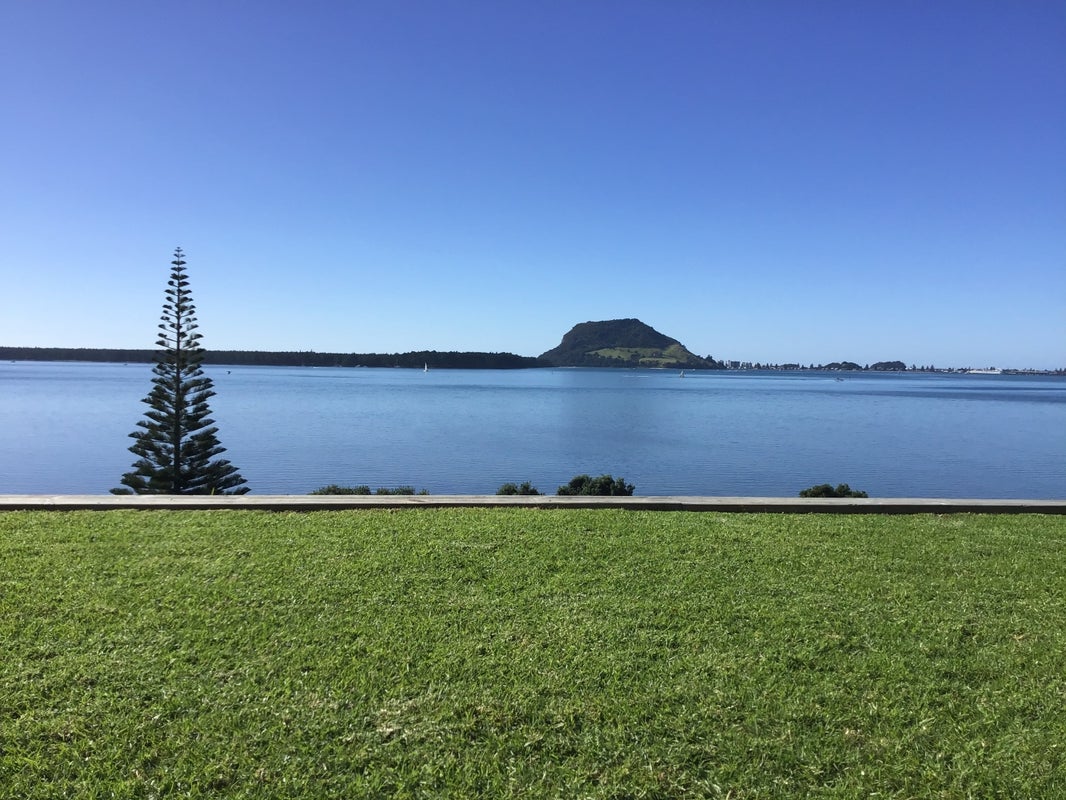 32 Ranui Street, Matua, Tauranga - Carousel 1