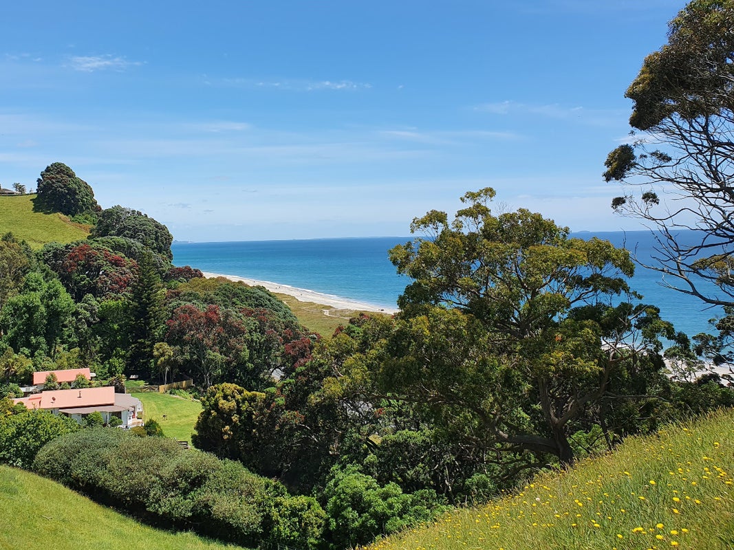 693 State Highway 2 West, Pikowai, Matata - Carousel 1