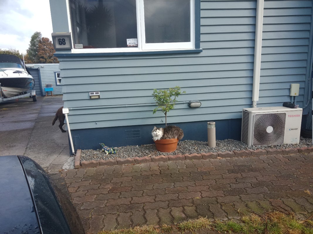 68 Mount View Drive, Mangakakahi, Rotorua - Carousel 1