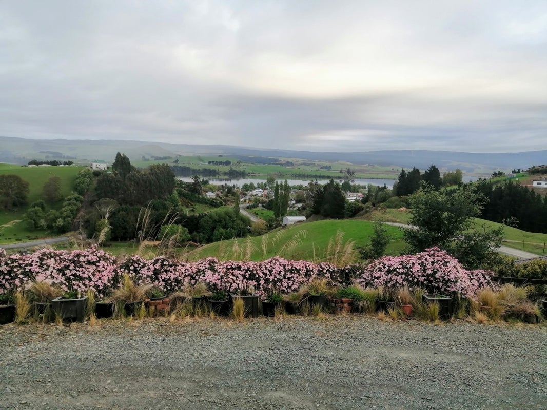 2A Beacon Street, Waihola - Carousel 1