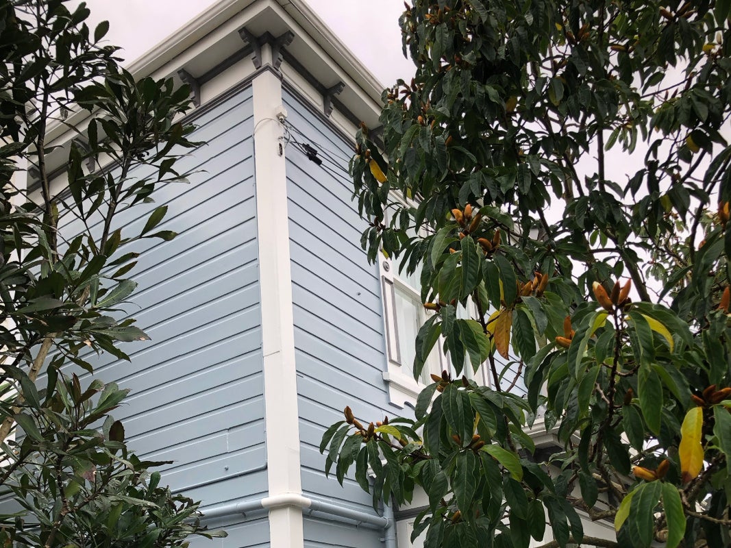 17 Roy Street, Newtown, Wellington - Carousel 1