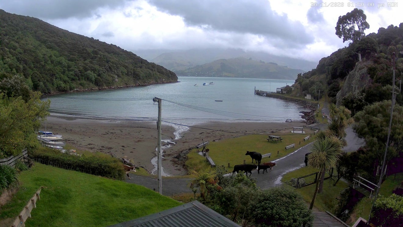 71 Tikao Bay Road, Wainui, Akaroa - Carousel 1