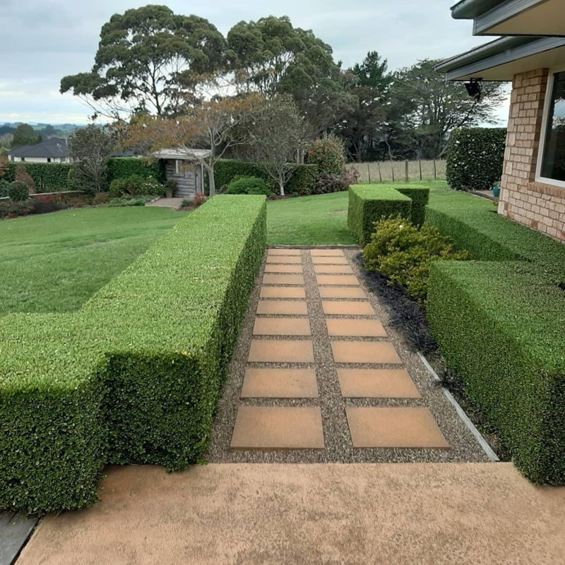 61B Ferguson Road, Whatawhata, Hamilton - Carousel 1