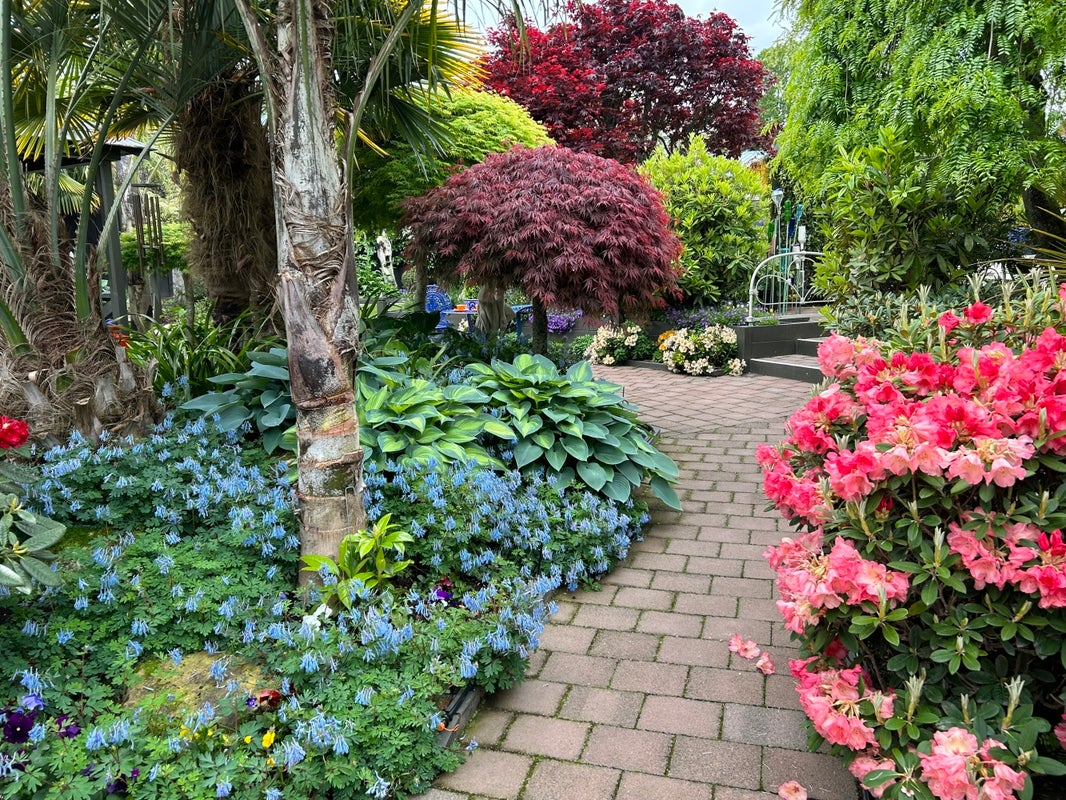 60 Lynmore Avenue, Lynmore, Rotorua - Carousel 1