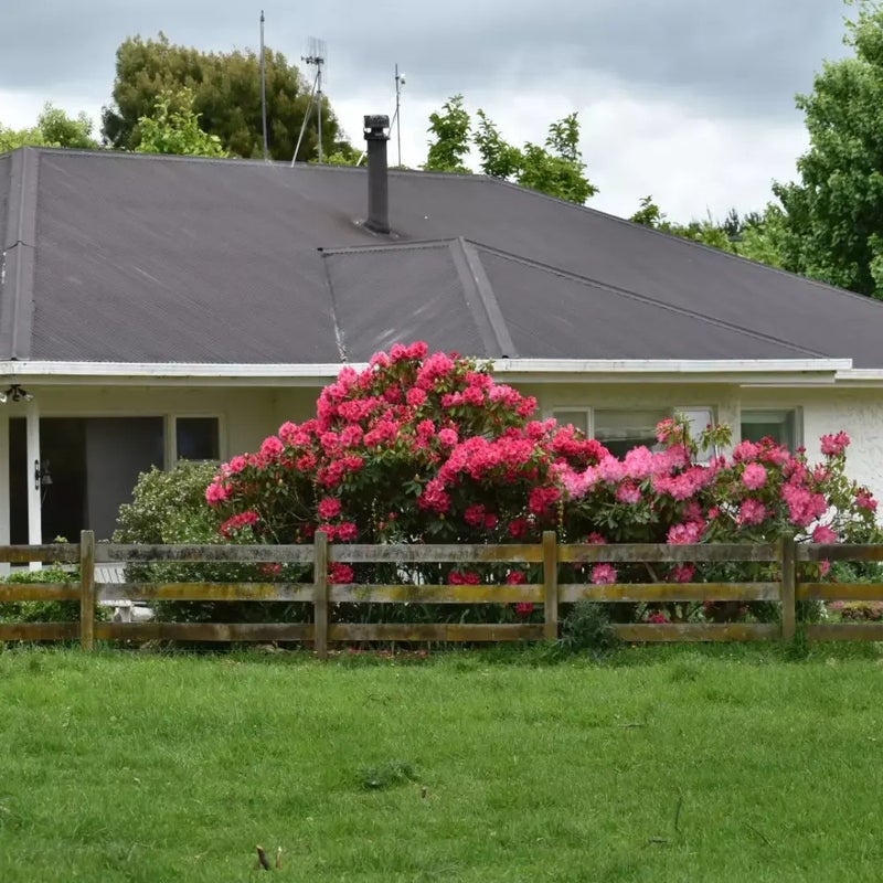 53 Terrace Road, Kimbolton, Feilding - Carousel 1