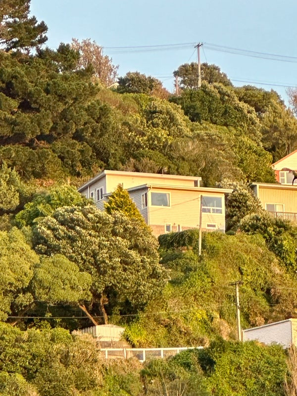 77 Farnham Street, Mornington, Wellington - Carousel 1