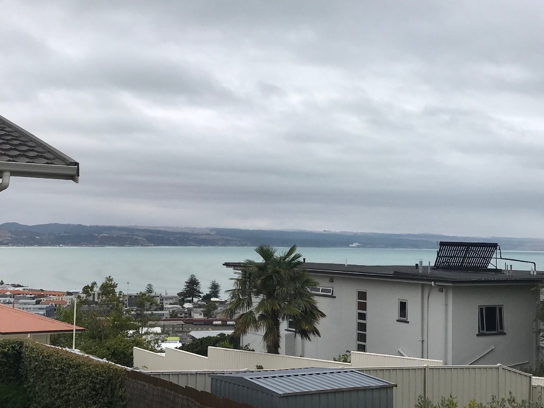 4A GEORGE STREET, HOSPITAL HILL, NAPIER - Carousel 1