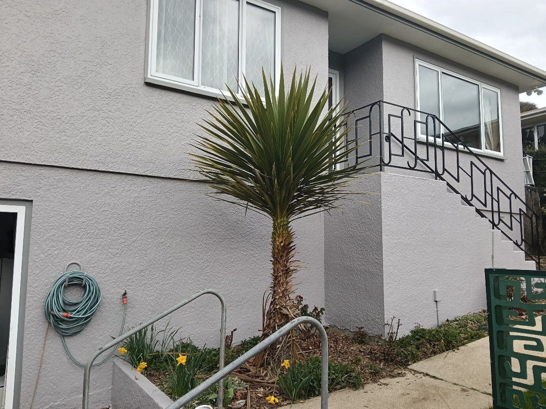 465 Kaikorai Valley Road, Bradford, Dunedin - Carousel 1