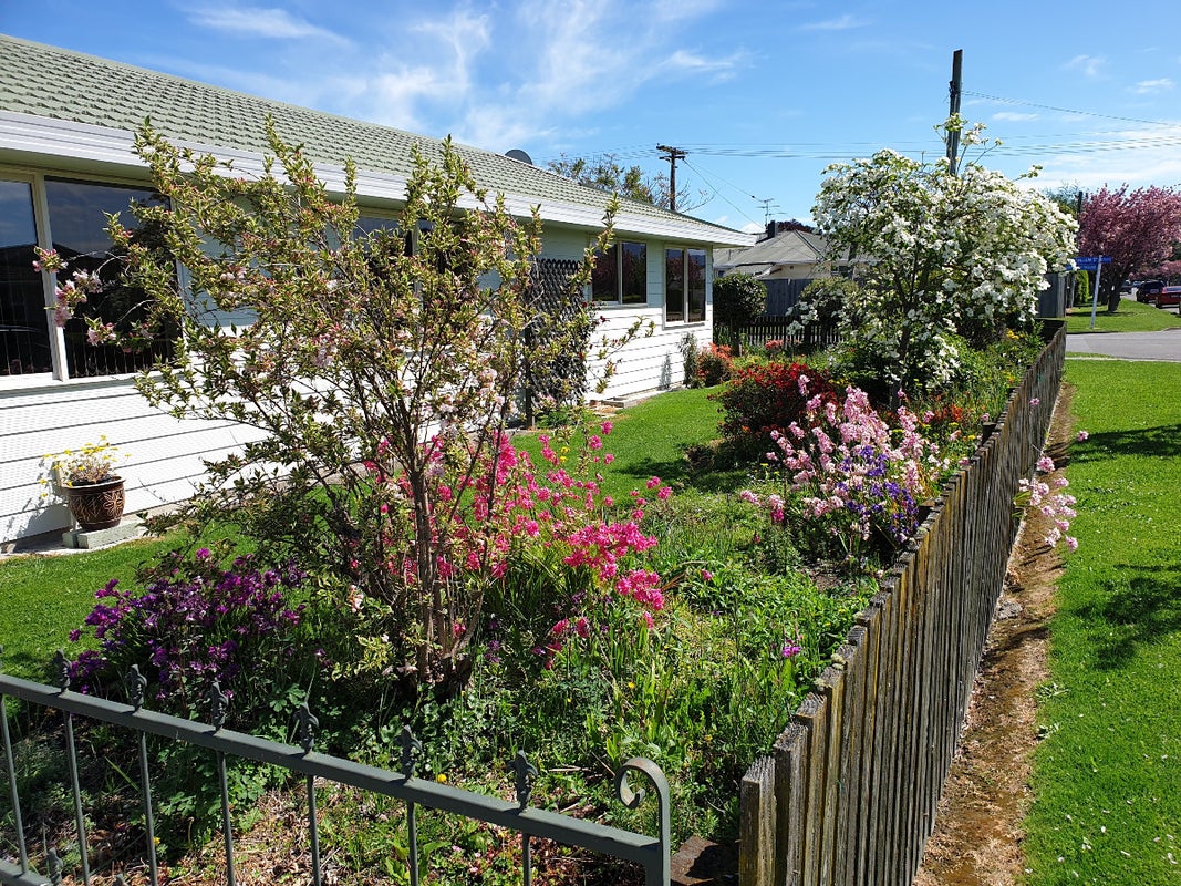 65 McLauchlan Street, Springlands, Blenheim - Carousel 1