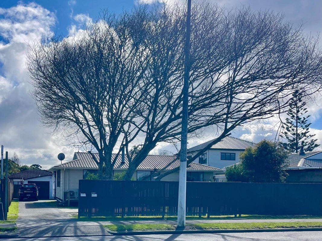37 Kerrs Road, Wiri, Auckland - Carousel 1