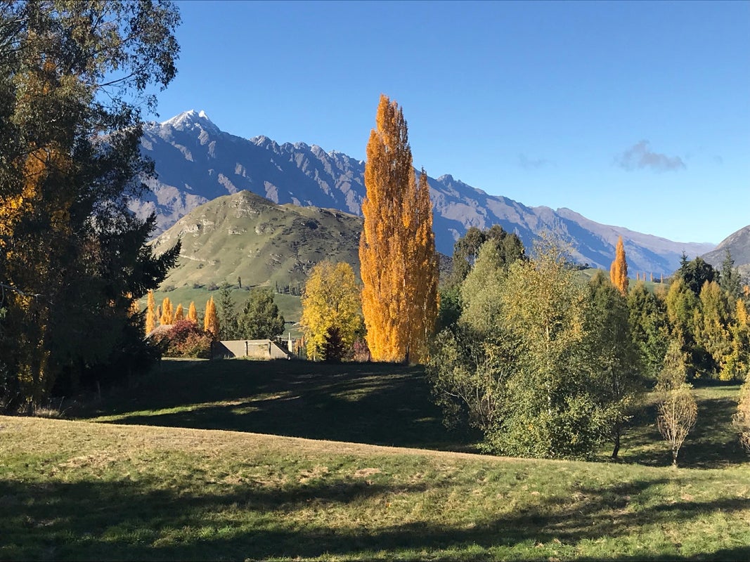 67 Mountain View Road, DALEFIELD, QUEENSTOWN - Carousel 1