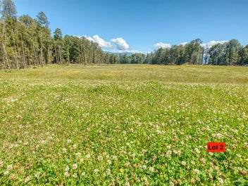 3021C State Highway 7, Ngahere, Ngahere