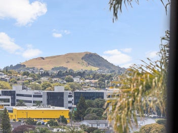 41B Konini Road, Greenlane, Auckland