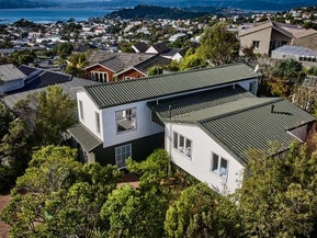 157 Mitchell Street, Brooklyn, Wellington