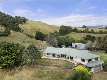 1007 Old Mountain Road, Waitetuna