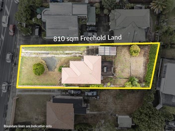 213 Campbell Road, Greenlane, Auckland