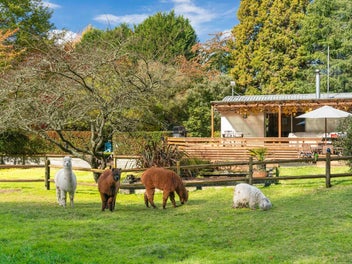 175 Forest Road, Taupo