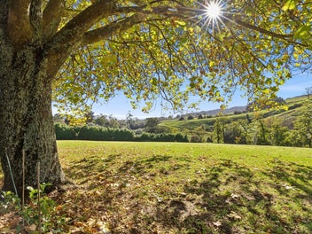 473 Parklands Road, Rotoorangi, Cambridge