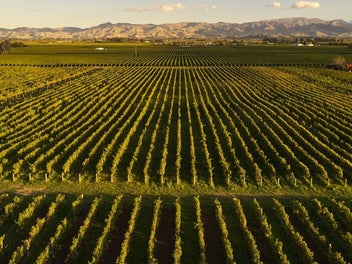 59 Jeffries Road, Rapaura, Blenheim