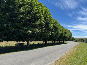165 Breckenridge Road, Puketapu, Napier