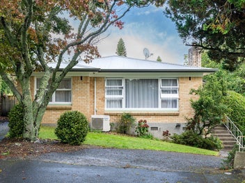 14 Clark Place, Hillcrest, Hamilton