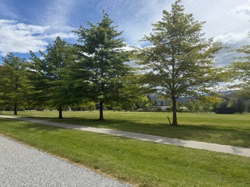 1 Paulin Road, Earnscleugh, Alexandra