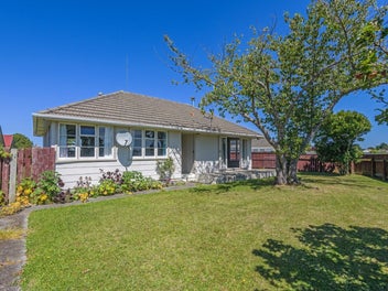 29 Clausen Street, Takaro, Palmerston North