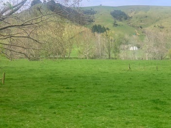 175 Maratoto Road, Hikutaia, Paeroa