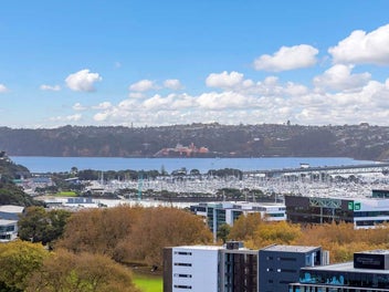 916/135 Hobson Street, Auckland Central, Auckland