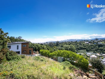 1 Lauriston Street, Andersons Bay, Dunedin