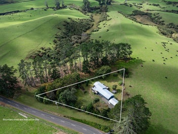 91 Grey Road, Hamilton