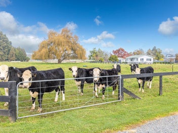 53 Hairini Road, Kihikihi, Te Awamutu