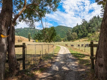 407 Onamalutu Road, Blenheim