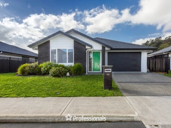 107 Mawai Hakona Drive, Wallaceville, Upper Hutt